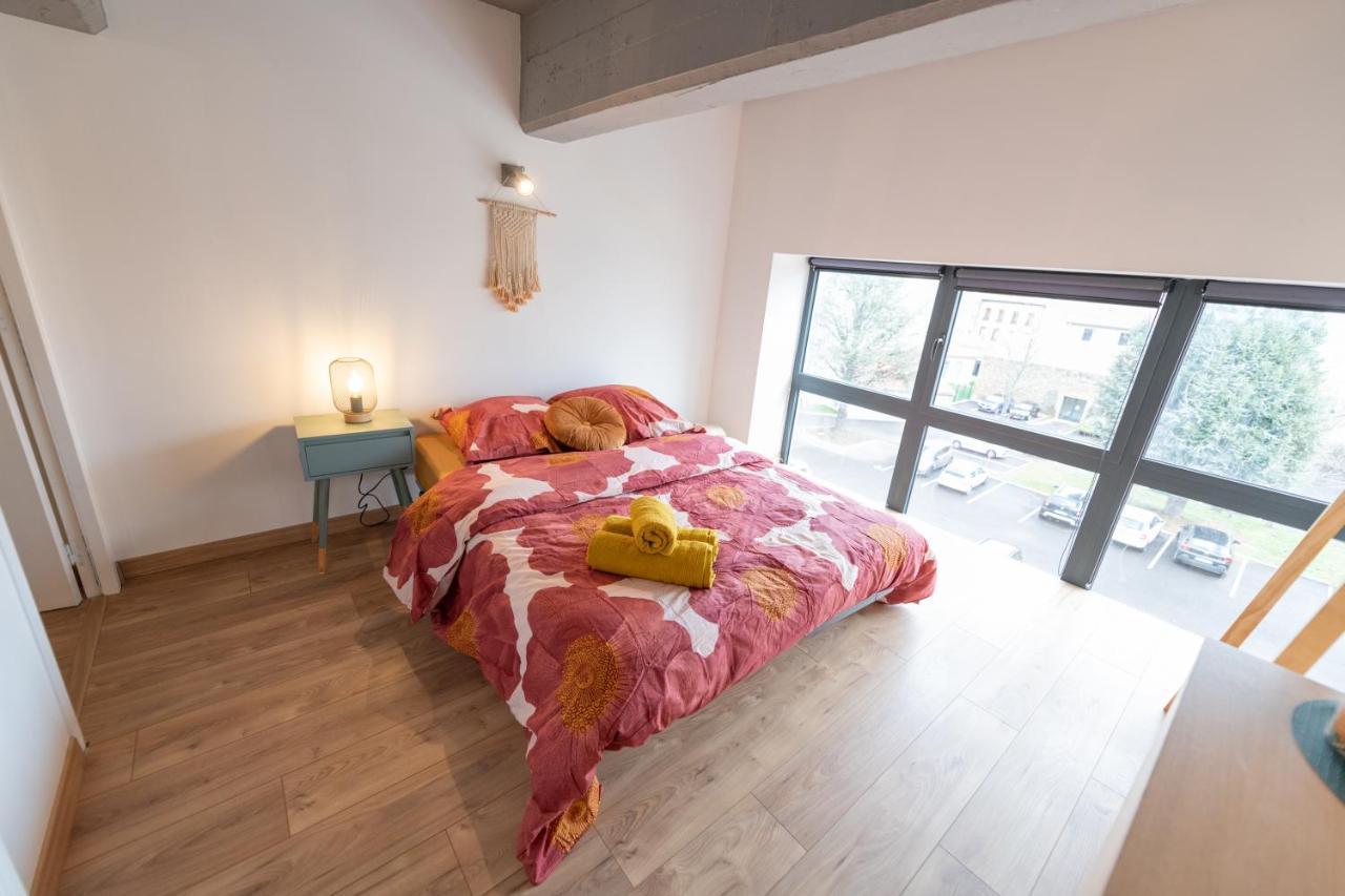 Welcome Loft Saint-Etienne  Esterno foto