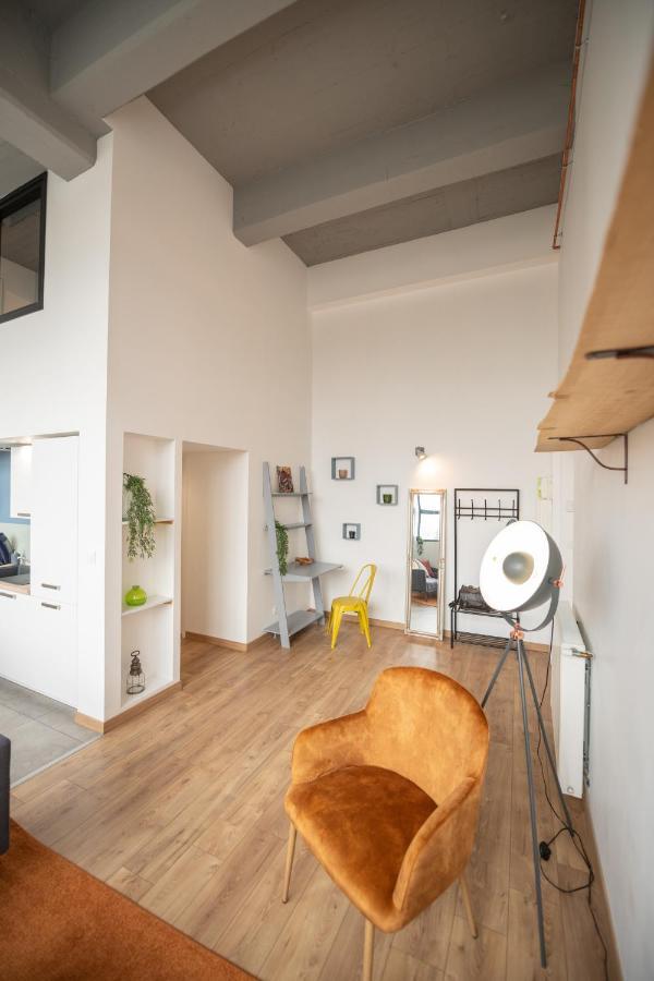 Welcome Loft Saint-Etienne  Esterno foto